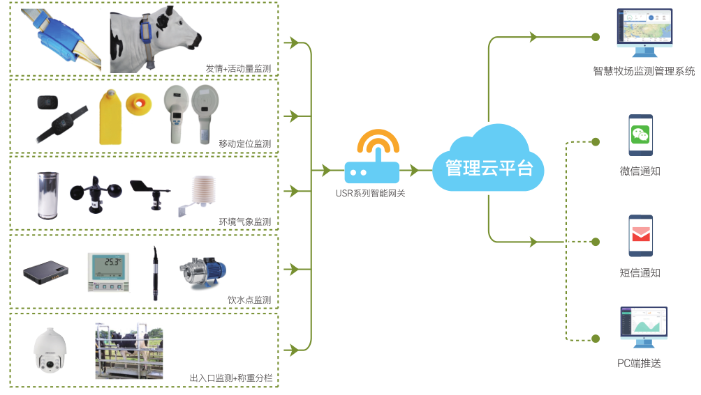 &#20061;&#28216;&#23089;&#20048;
